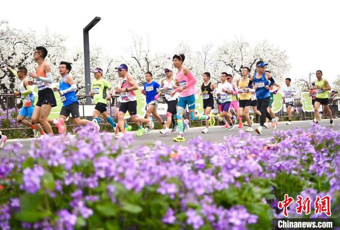 2025京东宿迁马拉松盛大开跑 15000跑者共绘运河赛