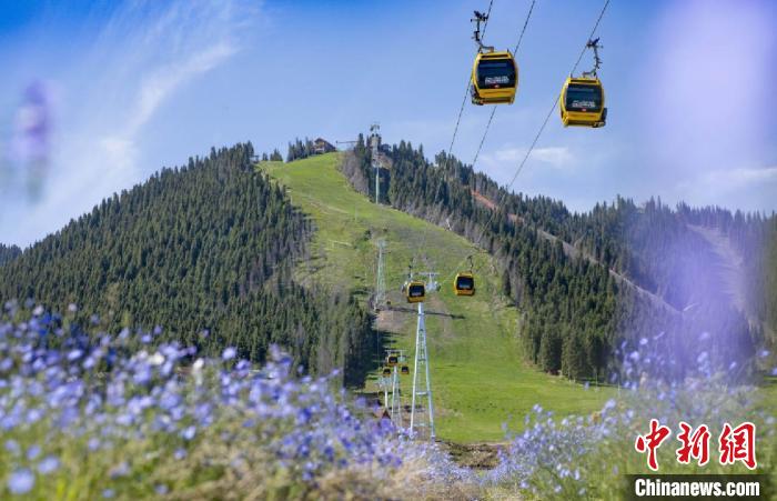 夏季滑雪场变身避暑胜地 多元玩法吸引游客